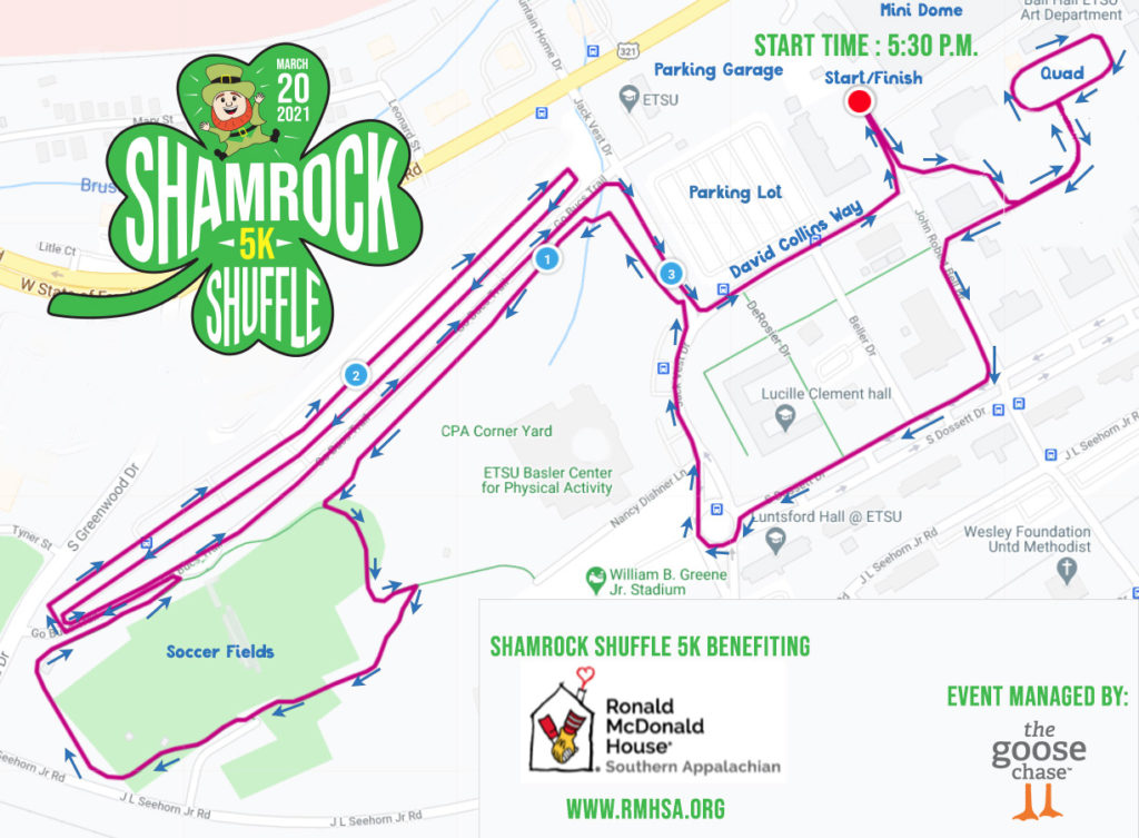 Shamrock Shuffle 5k The Goose Chase